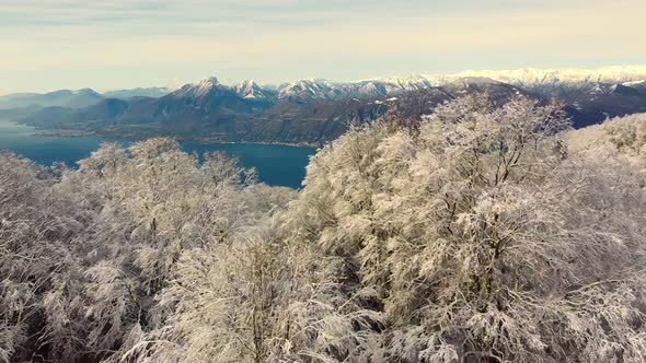 Snow mountains and trees at Garda Lake