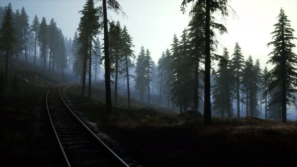 National Forest Recreation Area and the Fog with Railway alt