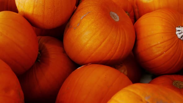 Close-up of pumpkin in organic section