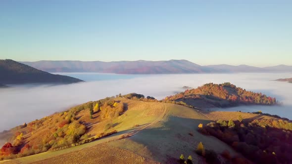 A Wonderful Feeling of a Moving Cloud on a Mountain After Rain