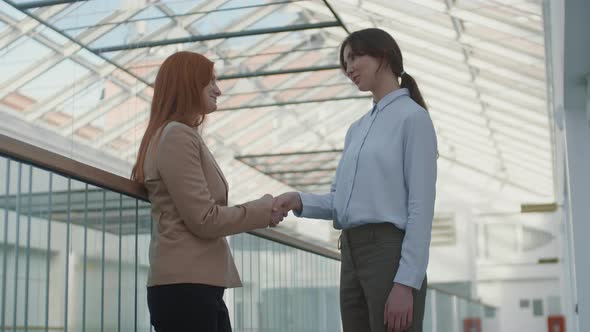 Two Female Business Partners Shaking Hands