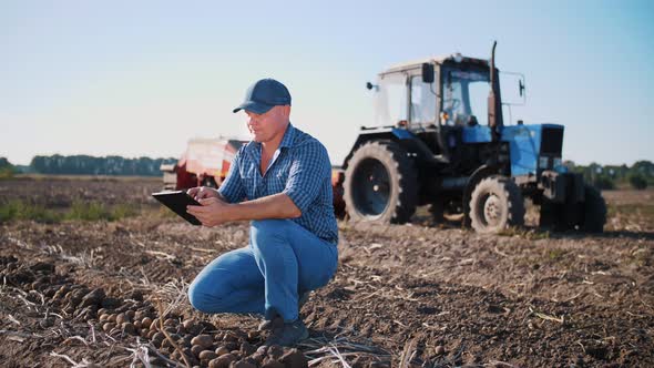 Potato Harvesting