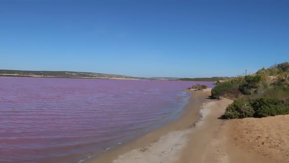 Hutt Lagoon Pink Lake Panoramic, Kalbarri, Western Australia