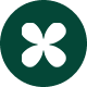 Preview icon
