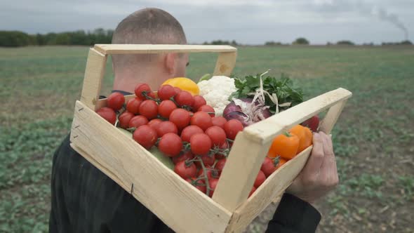 Farmer Holding a Box of Freshly Picked Organic Vegetables