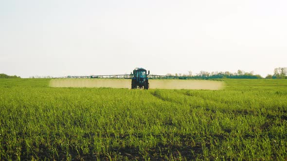 Spraying a Green Wheat Field By Tractor