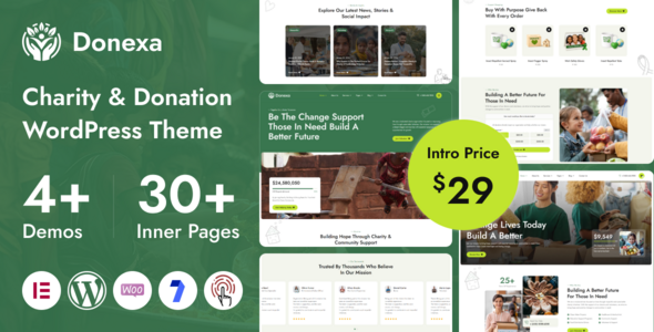 Donexa - Charity & Donation WordPress Theme