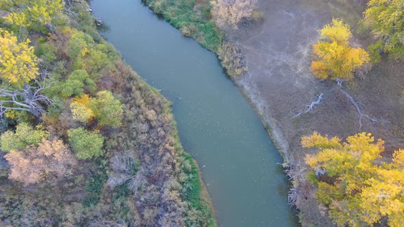 A drone down shot of the river ecosystem along the Platte river in fall.  Colorado