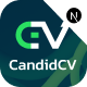 Preview icon