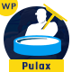 Pulclean - Swimming Pool Maintenance & Cleaning WordPress Theme - ThemeForest Item for Sale