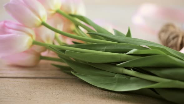 Light pink tulips on a wood background