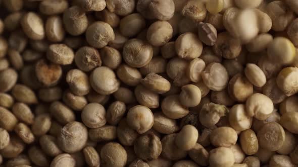 Quinoa seeds macro.