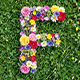 Flowers Transitions for After Effects - VideoHive Item for Sale