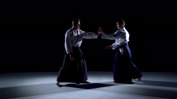 Two Masters Participants of the Training in Special Clothes of Aikido Hakama Work Out the Methods