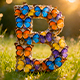 Butterfly Transitions for After Effects - VideoHive Item for Sale