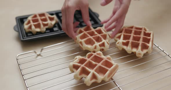 Homemade Belgian Waffle 