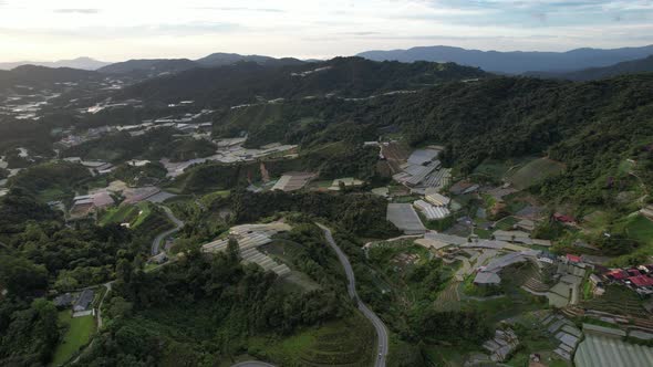 Cameron Highlands, Pahang Malaysia