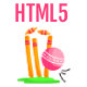 Cricket Blitz – Arcade HTML5 Game Template - CodeCanyon Item for Sale