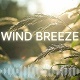 Gentle Warm Wind Breeze