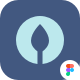 Preview icon