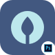 Preview icon