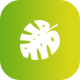 Preview icon