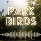 Summer Park Birds Ambience
