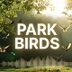 Summer Park Birds Ambience 2