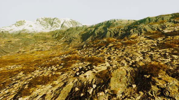 Golden Rocks and Grass of Crimean Peninsula