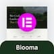 Preview icon