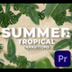 Summer Travel Tropical Palm Leaf Transitions - VideoHive Item for Sale