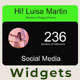 Widgets V.2 - VideoHive Item for Sale