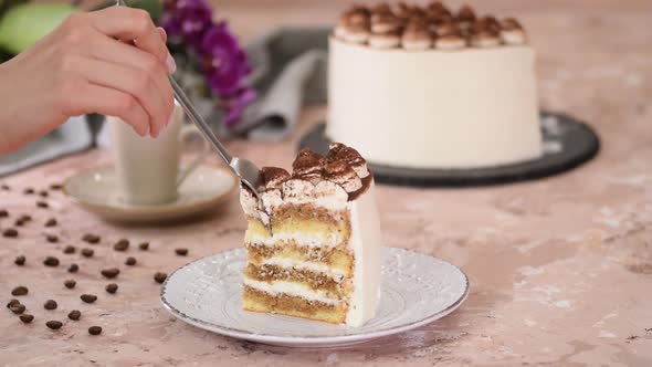 A Piece Of Tiramisu Cake On A Plate