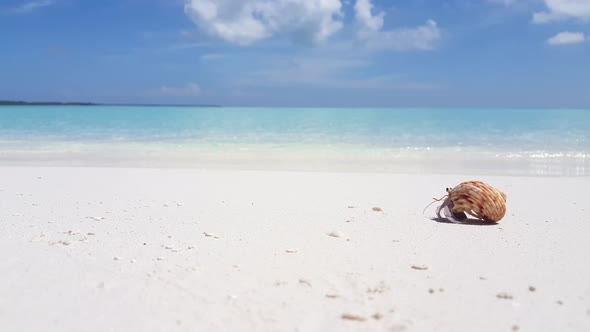 Daytime fly over abstract view of a sunshine white sandy paradise beach and turquoise sea background