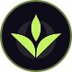 Preview icon