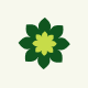 EverGreen – Landscaping WordPress Theme - ThemeForest Item for Sale