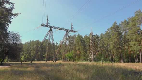 High Voltage Lines In Forest