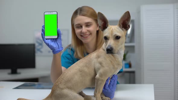 Smiling Animal Clinic Doctor Showing Green Screen Phone, Online Pet Checkup App