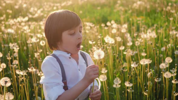 Child Boy 5 Years Old in a Hat Blows on a White Dandelion Ball on the Field During Sunset