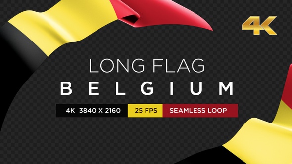 Long Flag Belgium