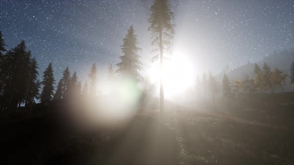 Milky Way Stars with Moonlight Above Pine Trees Forest alt