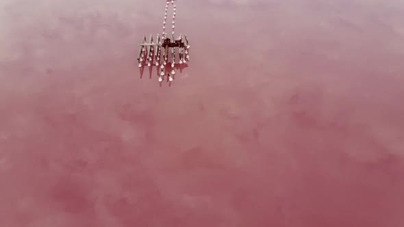 Pink Lake with Medicinal Clay Ungraded on Sunset, Air Drone View