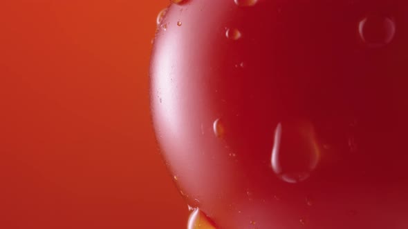 Ripe Tomato in Drops of Water Rotateson Red Studio Background