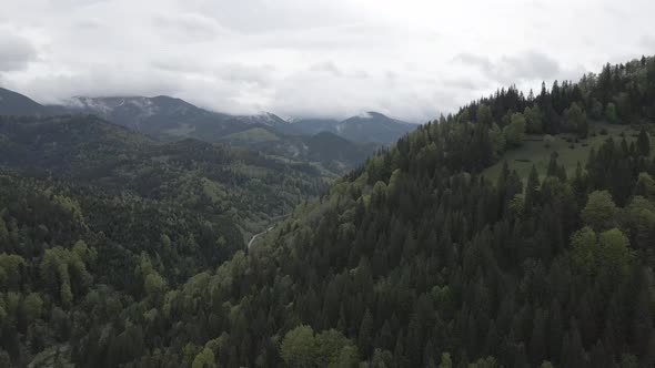 Landscape of the Carpathian Mountains. Slow Motion. Ukraine. Aerial. Gray, Flat