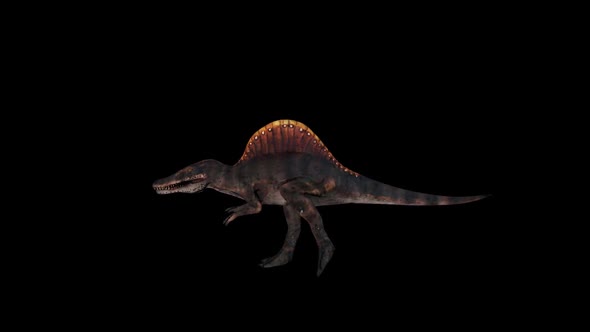 Dinosaur Spinosaurus Run
