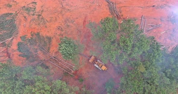 Deforestation Forest Cleaning and Preparation for Construction with a Used to Dozer