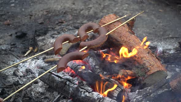 Girl is Preparing Sausages on Campfire