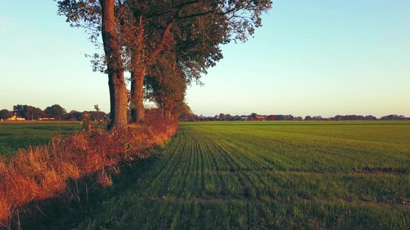 Aerial Flight Over a Beautiful Countryside Sunrise or Sunset