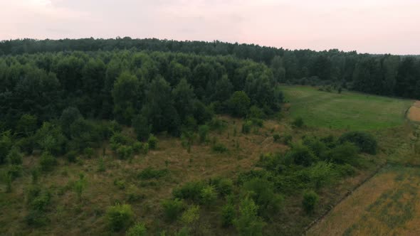 View of forest and field in Kolbudy, Kaszubia, pomorskie, Poland