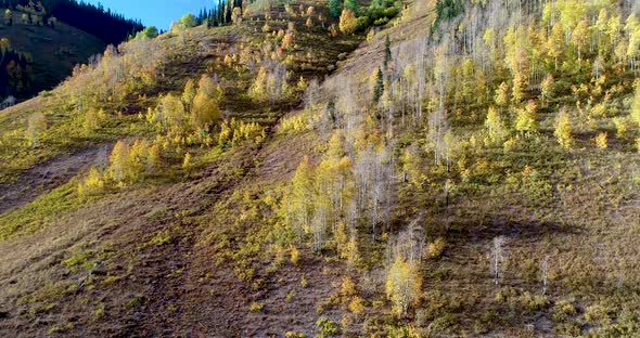 Rocky mountains of Colorado as the fall leaves turn golden.